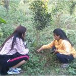 Rural Horticultural Work  Experiences (RHWE) of students