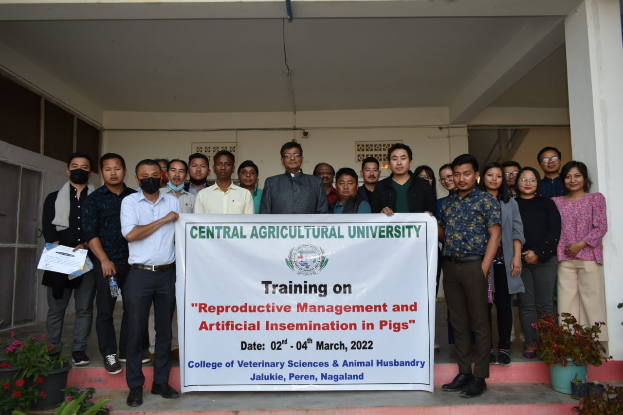 Training on Reproductive Management and Artificial Insemination in Pigs