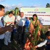 Central Agricultural University (CAU), Imphal, conducted plantation of Oil Palm Var. Tenera (Dura x Pisifera) under Centre of Excellence Oil Palm on Oil Palm Based Intercropping System at NEC, Central Farm, College of Agriculture, CAU Imphal, on 15th September 2023.