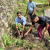 Plantation and cleaning drive was conducted at college campus of College of Horticulture, Bermiok Sikkim on the occasion of World Environment Day.
