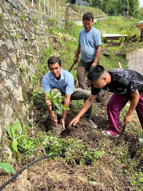 Plantation and cleaning drive was conducted at college campus of College of Horticulture, Bermiok Sikkim on the occasion of World Environment Day.